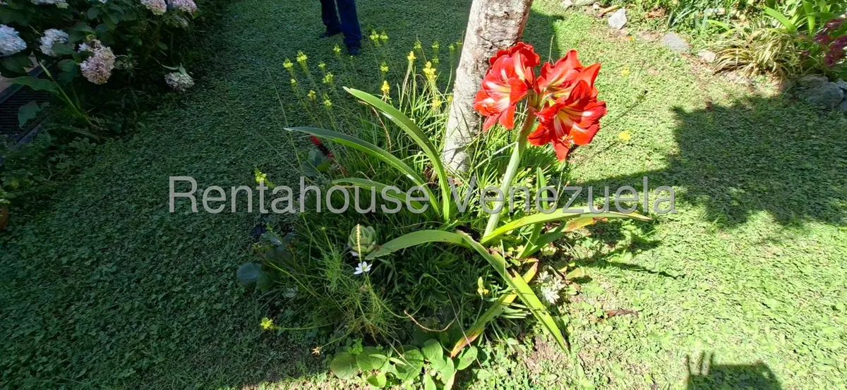 Casa (Casas de Campo) en Venta en El Valle, Merida - 38