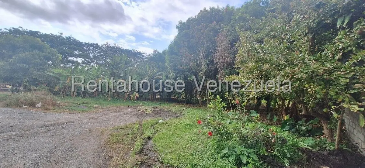 Terreno (Industrial) en Venta en Terrinca, Miranda - 2