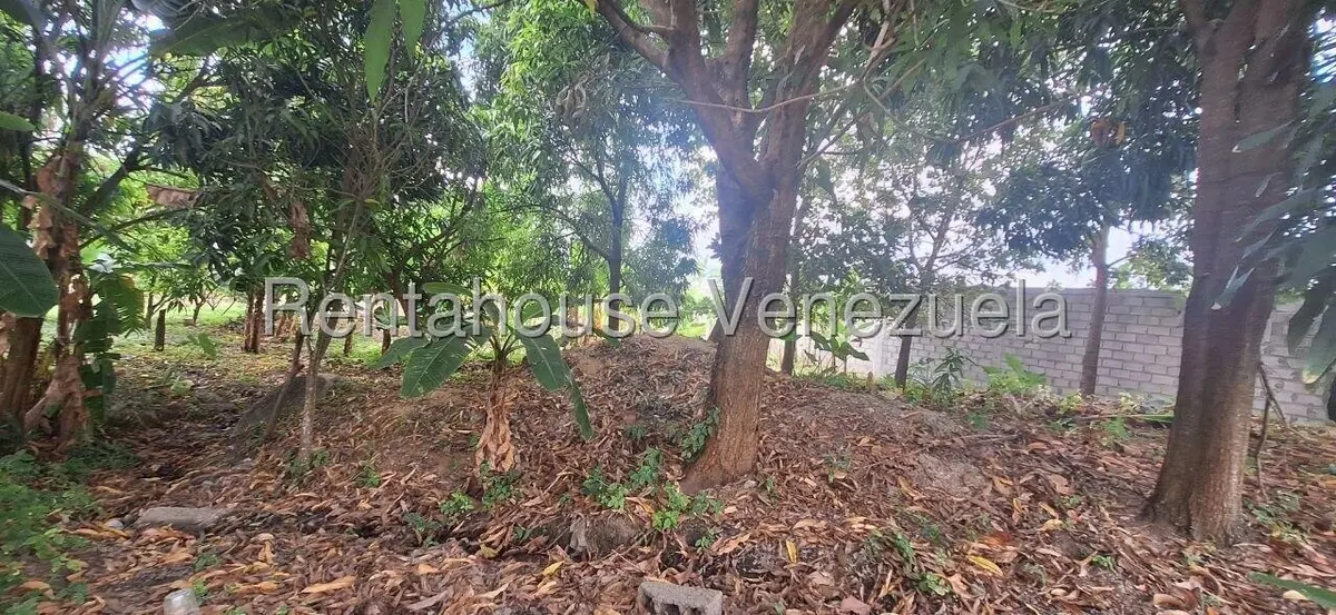 Terreno (Industrial) en Venta en Terrinca, Miranda - 10