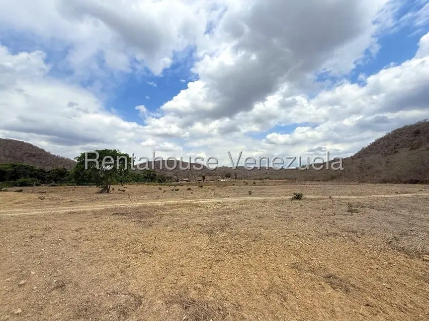 Terreno (Finca) en Venta en Municipio Peña, Yaracuy - 11