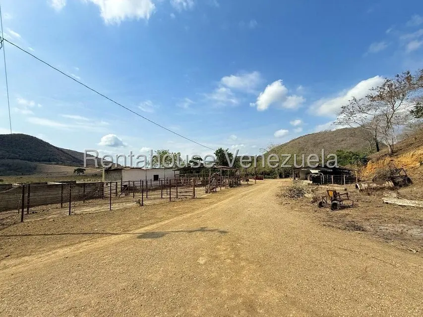 Terreno (Finca) en Venta en Municipio Peña, Yaracuy - 12