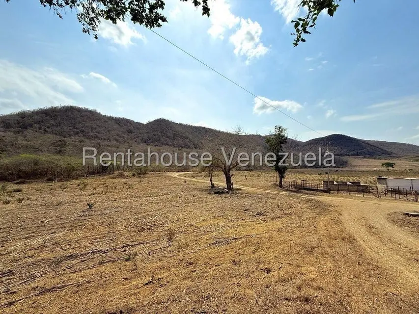 Terreno (Finca) en Venta en Municipio Peña, Yaracuy - 13