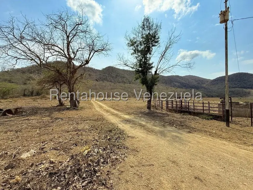 Terreno (Finca) en Venta en Municipio Peña, Yaracuy - 14