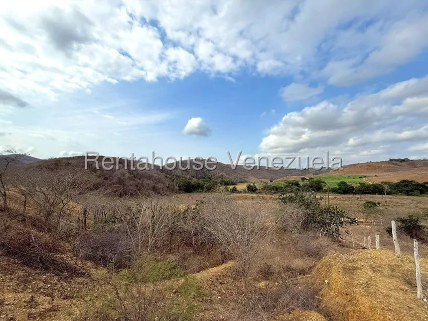 Terreno (Finca) en Venta en Municipio Peña, Yaracuy - 15