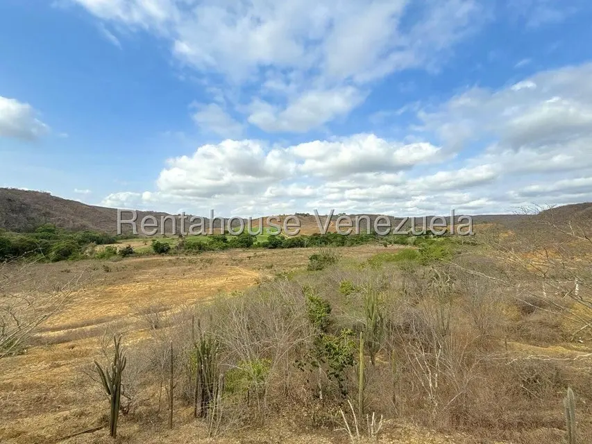 Terreno (Finca) en Venta en Municipio Peña, Yaracuy - 16