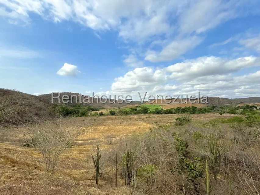 Terreno (Finca) en Venta en Municipio Peña, Yaracuy - 17