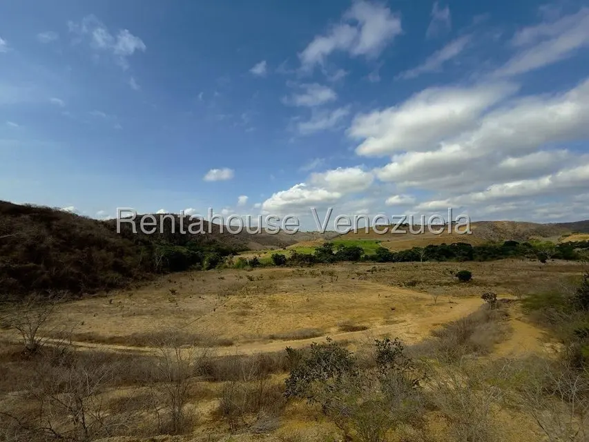 Terreno (Finca) en Venta en Municipio Peña, Yaracuy - 18