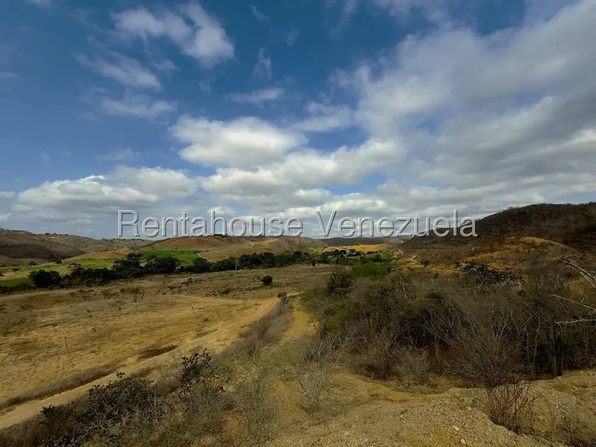 Terreno (Finca) en Venta en Municipio Peña, Yaracuy - 19