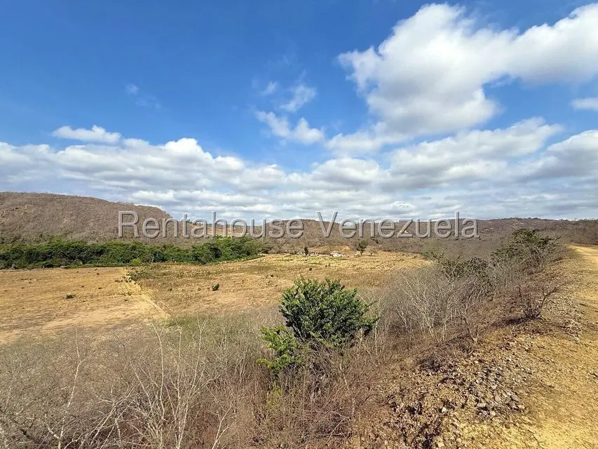 Terreno (Finca) en Venta en Municipio Peña, Yaracuy - 20