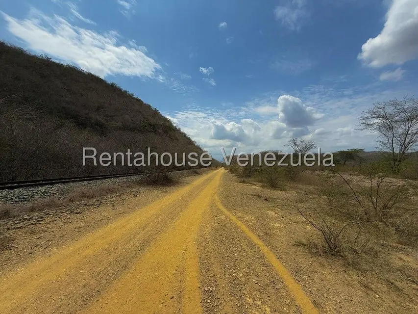 Terreno (Finca) en Venta en Municipio Peña, Yaracuy - 3