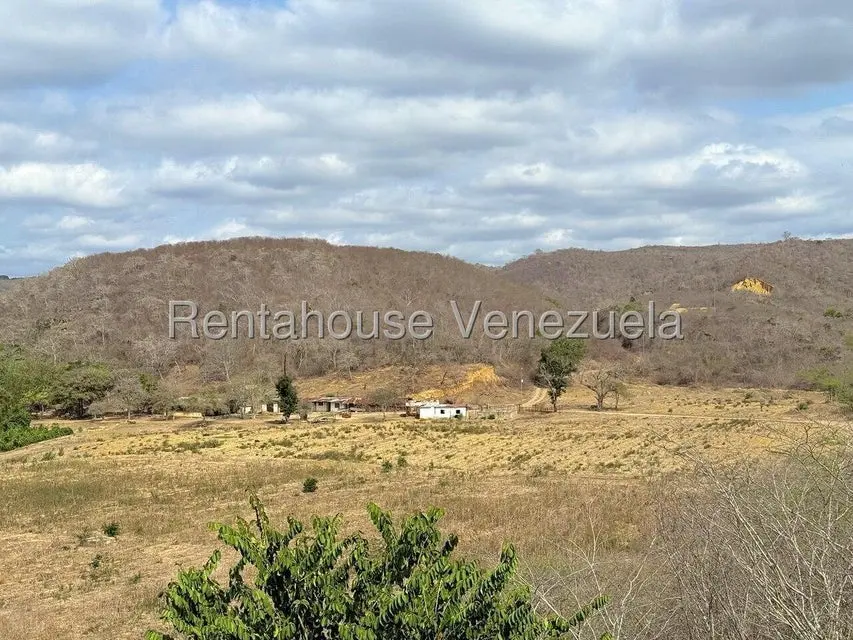 Terreno (Finca) en Venta en Municipio Peña, Yaracuy - 21