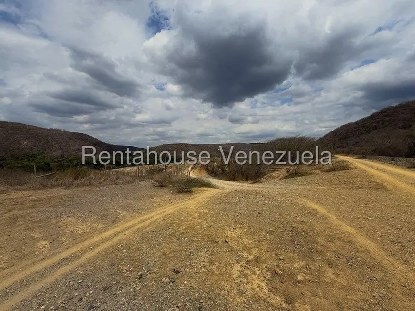 Terreno (Finca) en Venta en Municipio Peña, Yaracuy - 4