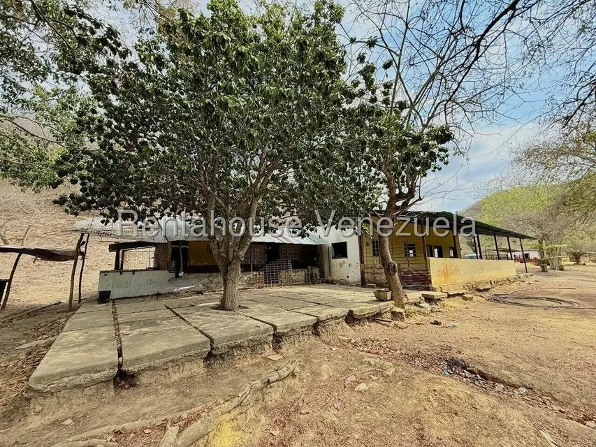 Terreno (Finca) en Venta en Municipio Peña, Yaracuy - 33