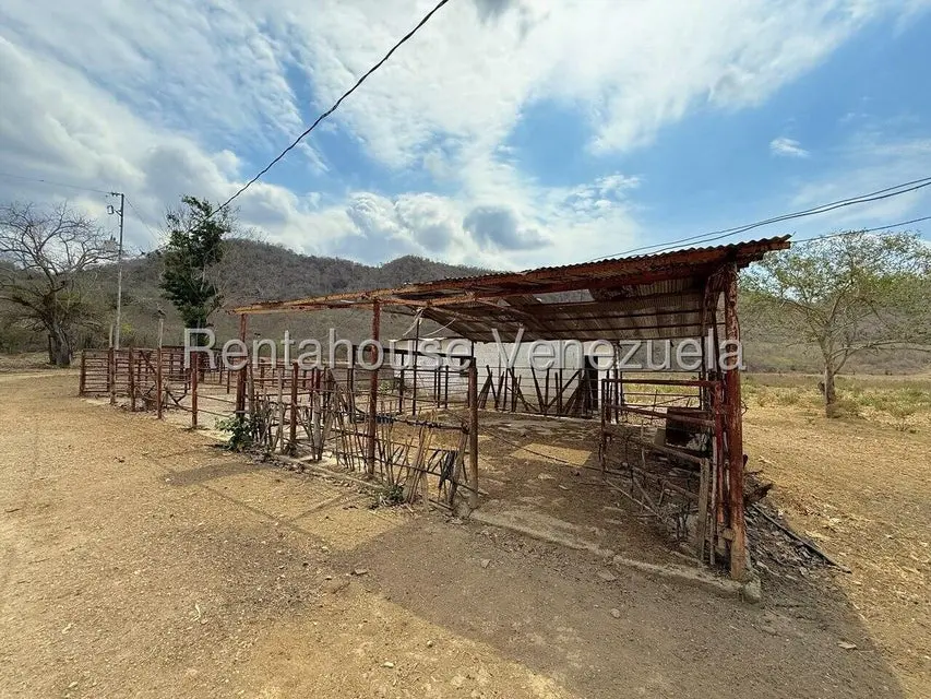 Terreno (Finca) en Venta en Municipio Peña, Yaracuy - 35