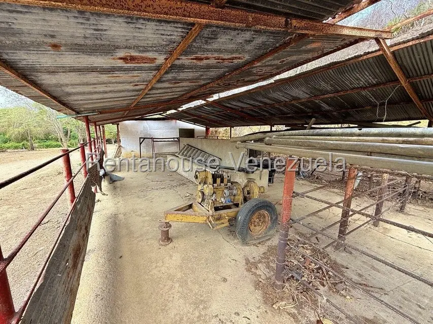 Terreno (Finca) en Venta en Municipio Peña, Yaracuy - 36