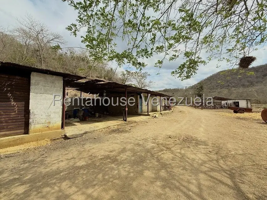 Terreno (Finca) en Venta en Municipio Peña, Yaracuy - 37