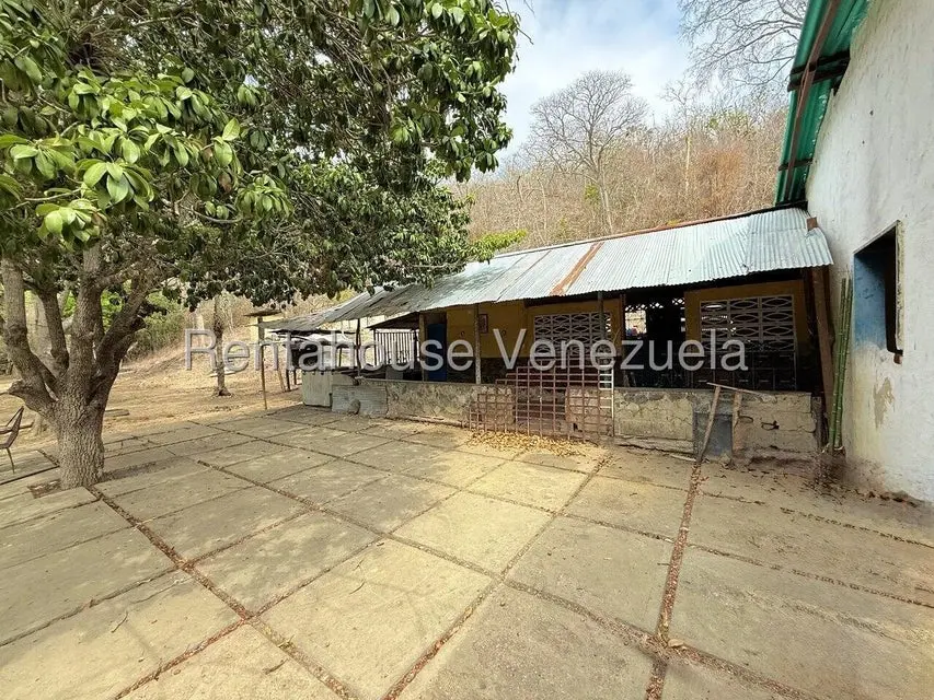 Terreno (Finca) en Venta en Municipio Peña, Yaracuy - 38