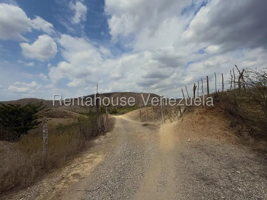 Terreno (Finca) en Venta en Municipio Peña, Yaracuy - 5