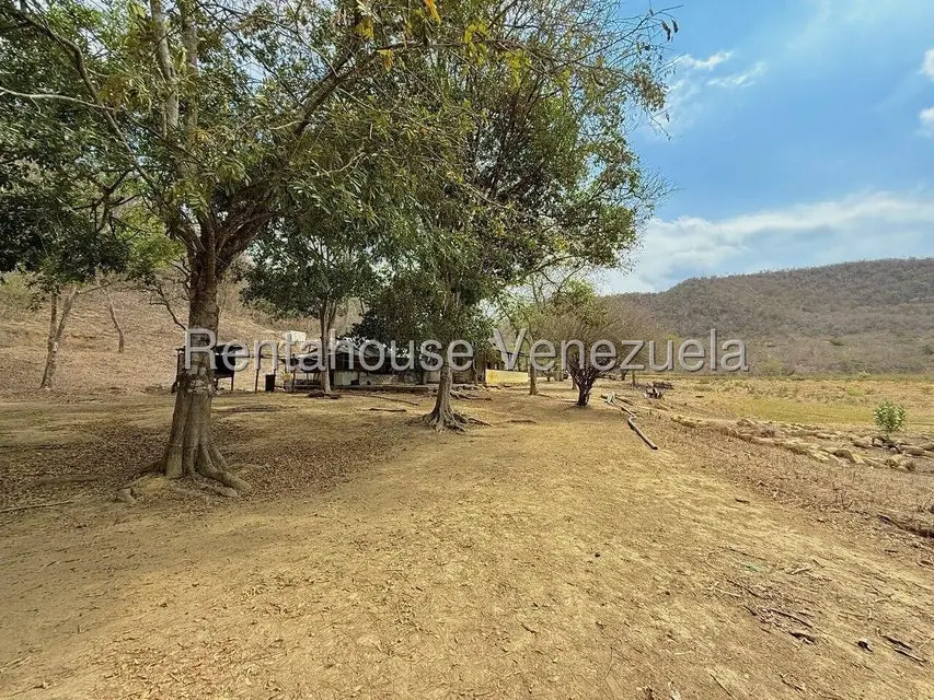 Terreno (Finca) en Venta en Municipio Peña, Yaracuy - 41