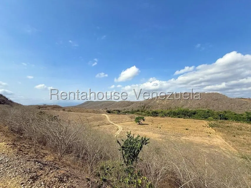 Terreno (Finca) en Venta en Municipio Peña, Yaracuy - 42