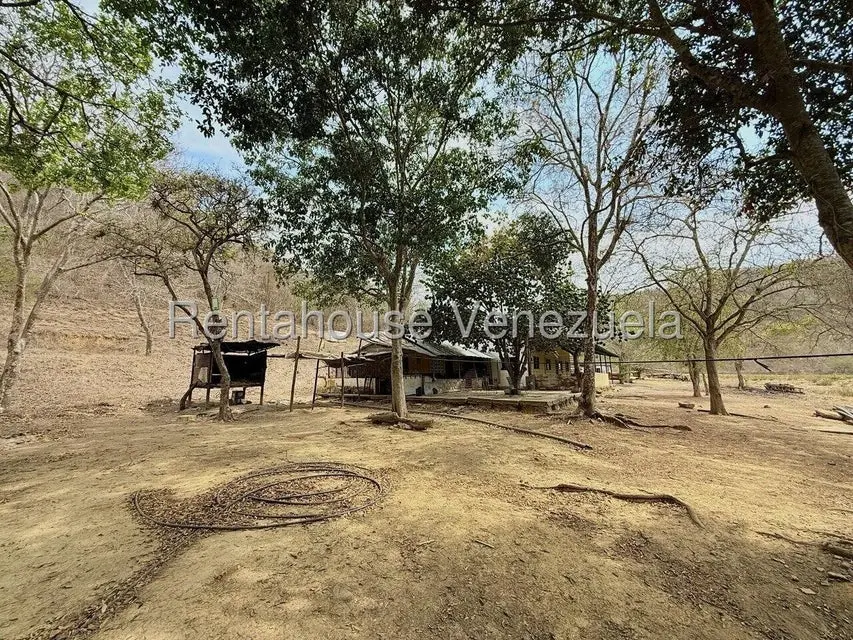 Terreno (Finca) en Venta en Municipio Peña, Yaracuy - 43