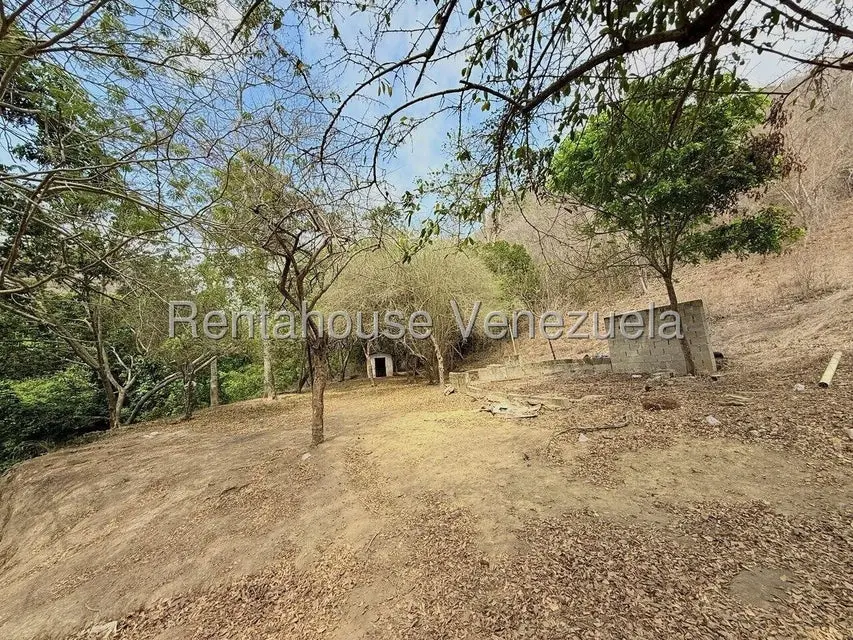 Terreno (Finca) en Venta en Municipio Peña, Yaracuy - 44