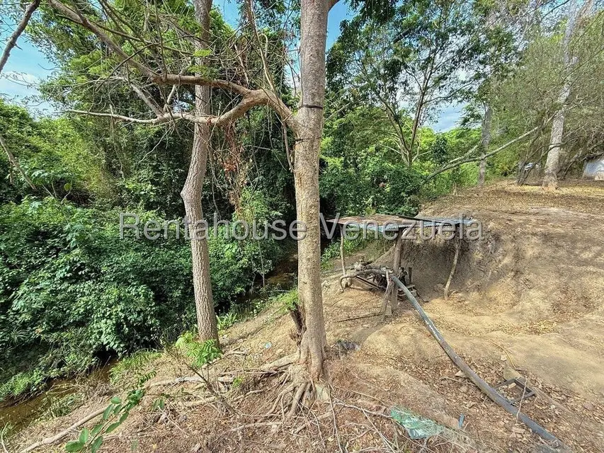 Terreno (Finca) en Venta en Municipio Peña, Yaracuy - 46