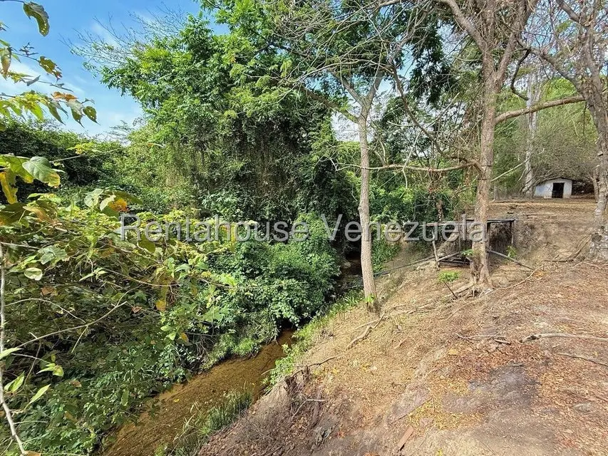 Terreno (Finca) en Venta en Municipio Peña, Yaracuy - 47