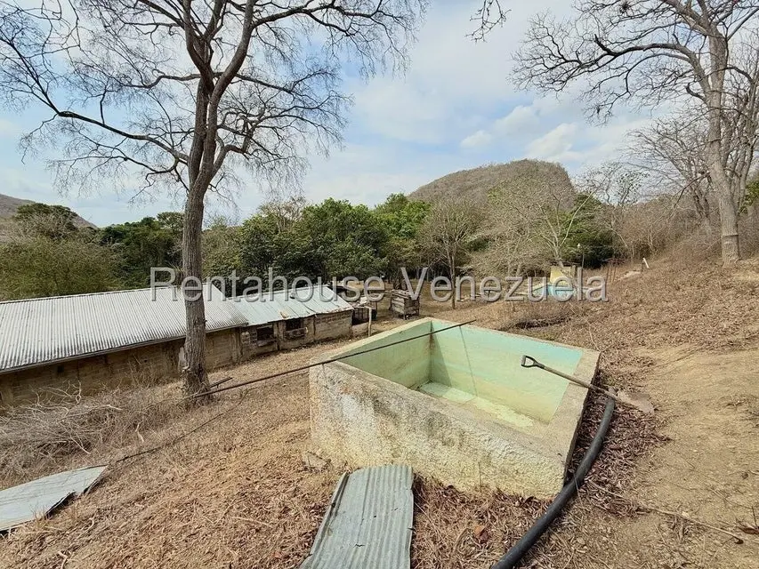 Terreno (Finca) en Venta en Municipio Peña, Yaracuy - 50