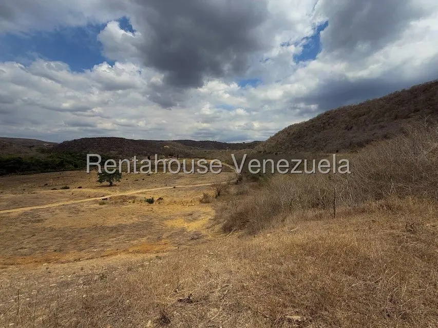 Terreno (Finca) en Venta en Municipio Peña, Yaracuy - 6