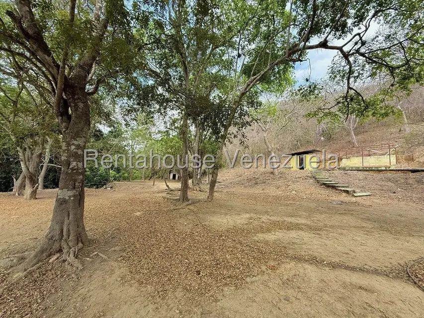 Terreno (Finca) en Venta en Municipio Peña, Yaracuy - 51