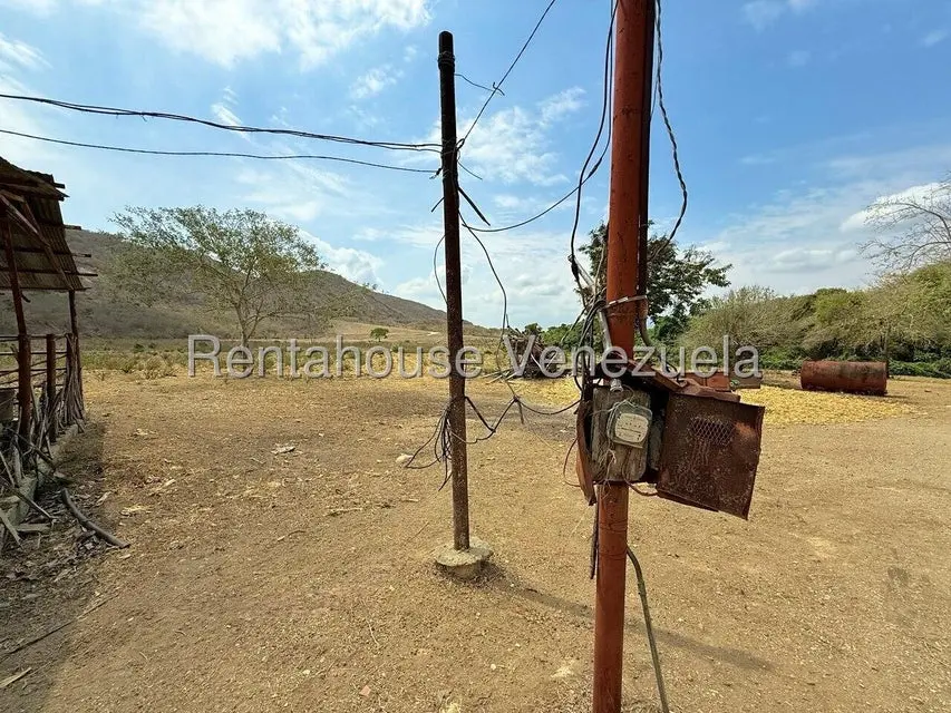 Terreno (Finca) en Venta en Municipio Peña, Yaracuy - 52