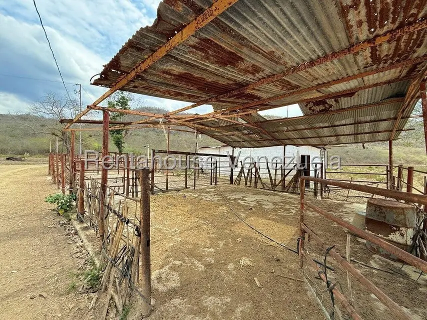 Terreno (Finca) en Venta en Municipio Peña, Yaracuy - 54