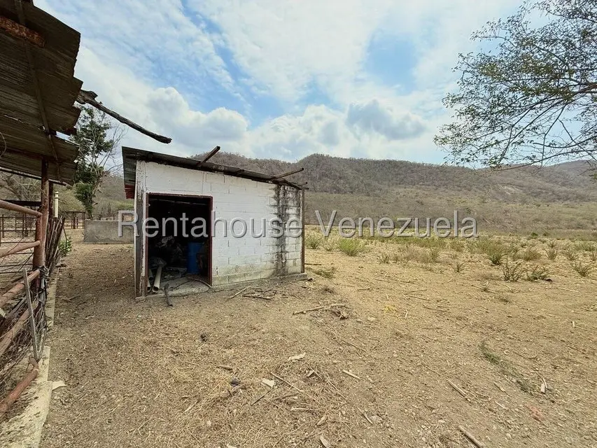 Terreno (Finca) en Venta en Municipio Peña, Yaracuy - 55
