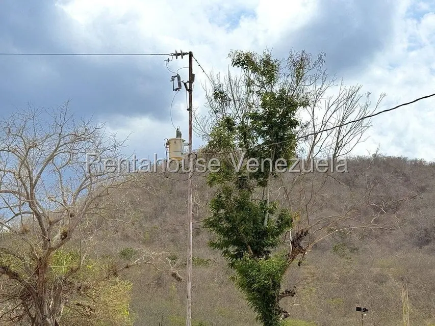 Terreno (Finca) en Venta en Municipio Peña, Yaracuy - 57