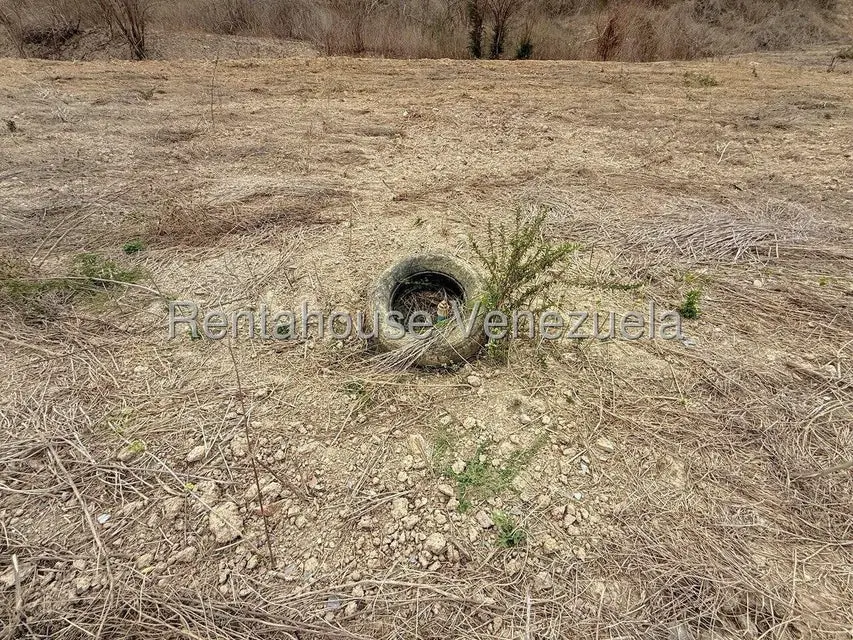 Terreno (Finca) en Venta en Municipio Peña, Yaracuy - 60