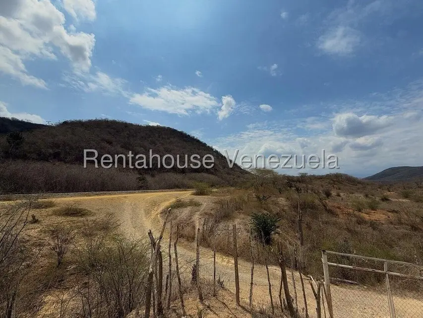 Terreno (Finca) en Venta en Municipio Peña, Yaracuy - 7