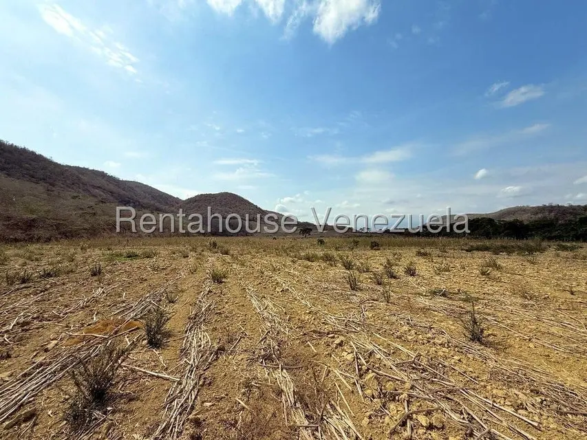 Terreno (Finca) en Venta en Municipio Peña, Yaracuy - 62
