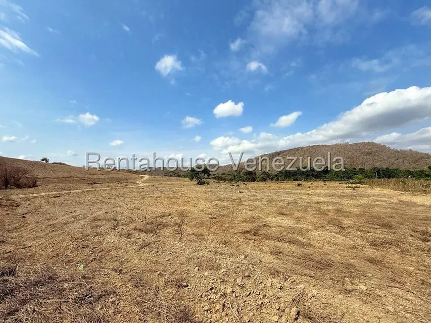Terreno (Finca) en Venta en Municipio Peña, Yaracuy - 63