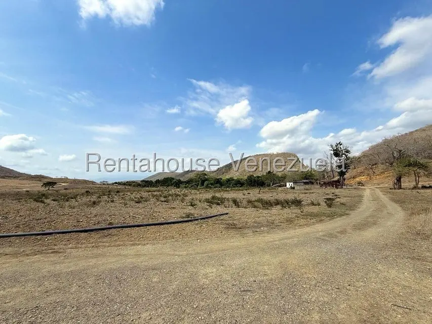 Terreno (Finca) en Venta en Municipio Peña, Yaracuy - 64