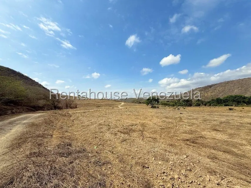 Terreno (Finca) en Venta en Municipio Peña, Yaracuy - 65