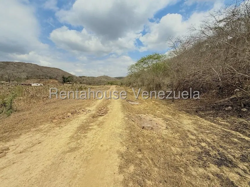 Terreno (Finca) en Venta en Municipio Peña, Yaracuy - 66