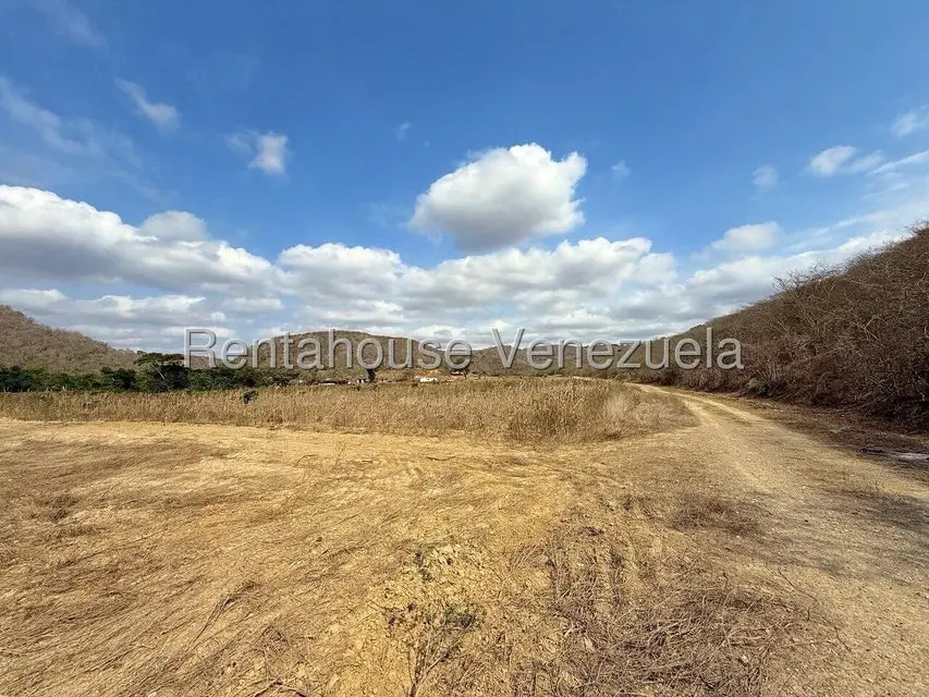 Terreno (Finca) en Venta en Municipio Peña, Yaracuy - 67