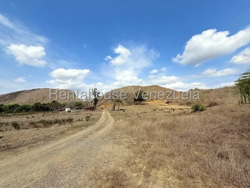 Terreno (Finca) en Venta en Municipio Peña, Yaracuy - 68