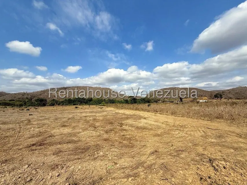 Terreno (Finca) en Venta en Municipio Peña, Yaracuy - 69