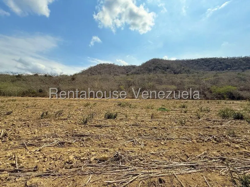 Terreno (Finca) en Venta en Municipio Peña, Yaracuy - 70