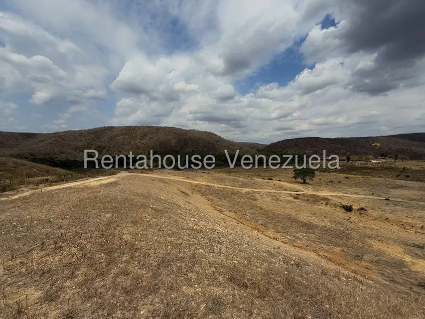 Terreno (Finca) en Venta en Municipio Peña, Yaracuy - 8