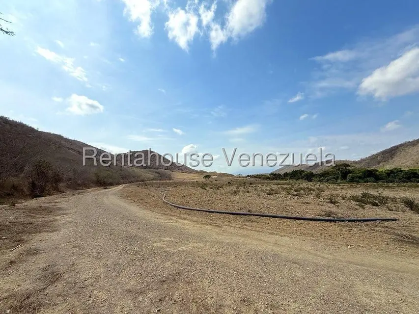Terreno (Finca) en Venta en Municipio Peña, Yaracuy - 71