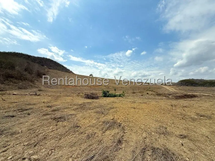 Terreno (Finca) en Venta en Municipio Peña, Yaracuy - 72