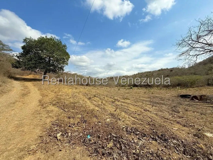 Terreno (Finca) en Venta en Municipio Peña, Yaracuy - 73